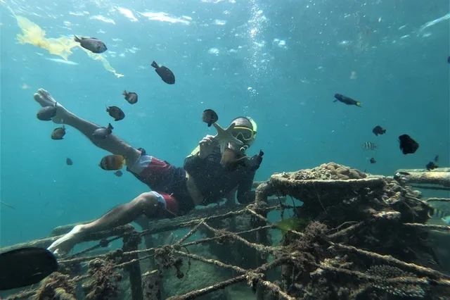 Amazing Nusa Penida Snorkeling Experience