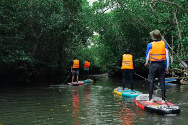 Bali Mangrove Forest Tour by Stand Up Paddle