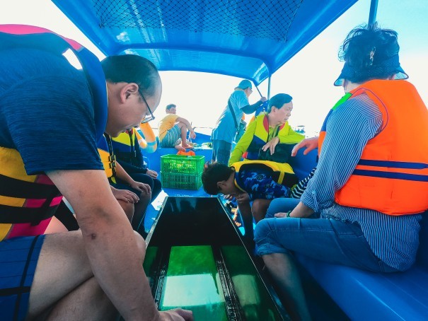 Coral Gardens: A stunning photo of the colorful coral gardens in Bali, seen from the comfort of the glass-bottom boat.