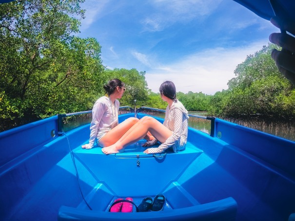 Mangrove Cruise in Bali Mangrove Forest: A photo showcasing the Mangrove Cruise in Bali Mangrove Forest, highlighting the lush mangrove trees and peaceful atmosphere.