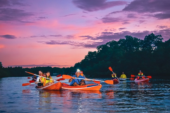 Kayakers paddle through Bali's mangrove forest during sunset, with the sky painted in shades of pink and blue.