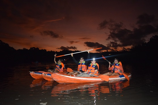 Visitors in kayaks shine headlamps to light their way, creating a glowing path through the dark mangrove forest in Bali.