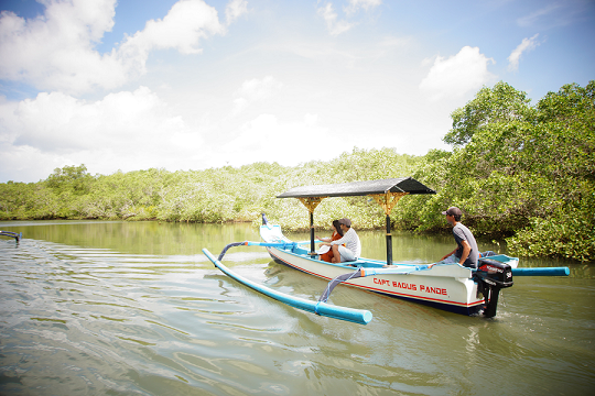 A traditional Balinese jukung boat with a thatched roof, floating gently on the calm waters among the mangroves, with passengers enjoying the natural shade and scenery.