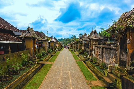 The image shows a beautifully preserved traditional street in Penglipuran Village, Bali, with neat rows of traditional Balinese houses lining both sides. The street is well-maintained, with greenery and ornamental plants adding to its charm. The houses have thatched roofs, and the pathway is clean and organized, giving the village a tranquil and culturally rich atmosphere. The layout of the village reflects its dedication to maintaining Balinese customs and traditions, making it a perfect spot for exploring Bali's heritage and architectural beauty