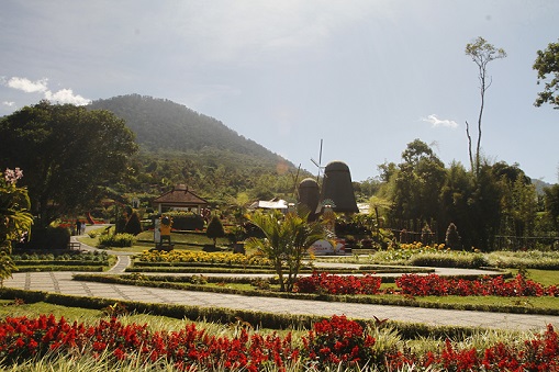 Colorful flower gardens at The Blooms Garden in Bedugul, surrounded by lush green mountains and vibrant landscape, offering a serene escape in Bali