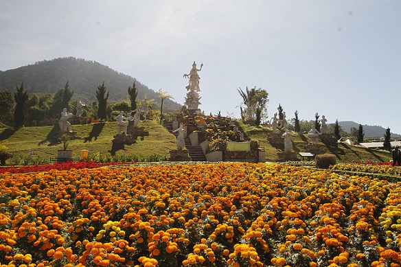 Vibrant marigold flowers in full bloom at The Blooms Garden, Bedugul, with a backdrop of lush hills and traditional statues under the clear Bali sky