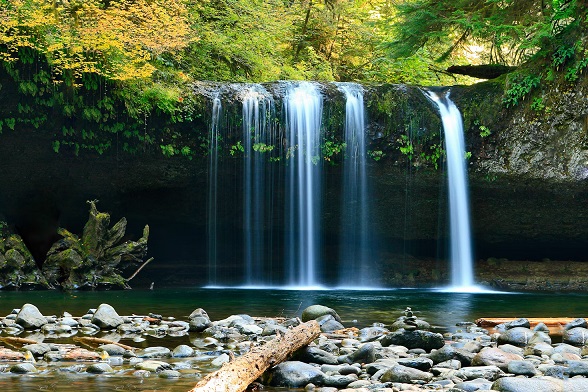 A serene waterfall cascading over a rocky ledge into a clear pool, surrounded by lush greenery and scattered stones