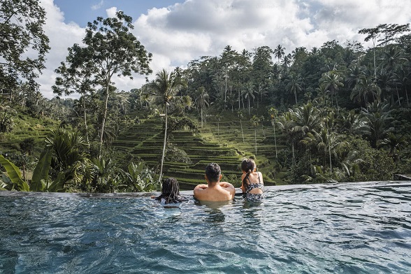 A family relaxing in a serene infinity pool with a stunning view of lush green rice terraces and tropical palm trees in Bali