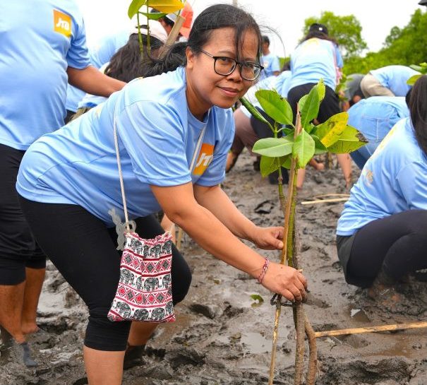 (English) Top Locations for Mangrove Planting Activities in Bali