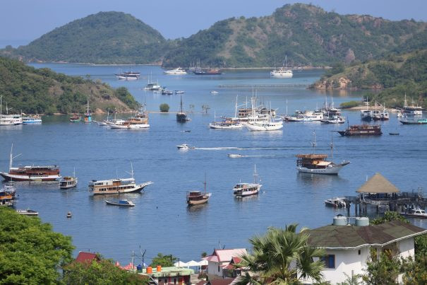 Urban Life of Labuan Bajo