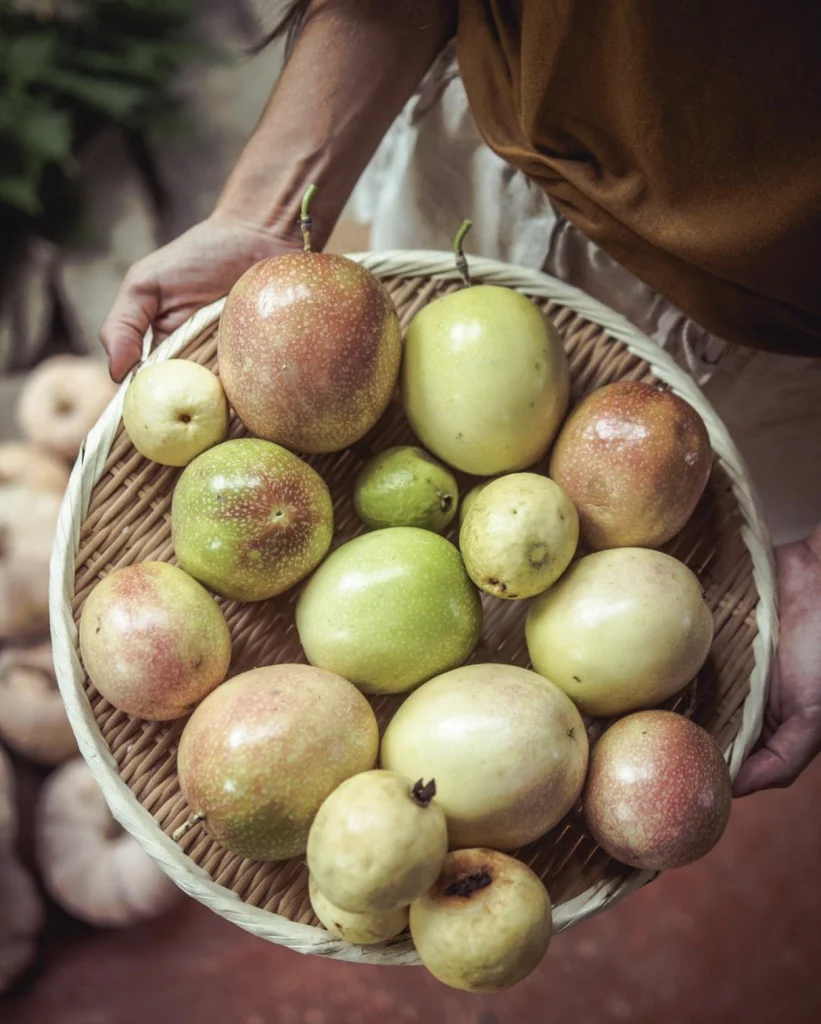 meanwhile, tropical fruit is shown for farm to table