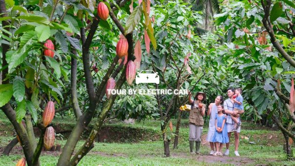 Chocolate Farm Tour & Chopstick Recycling by Electric Vehicle in Bali