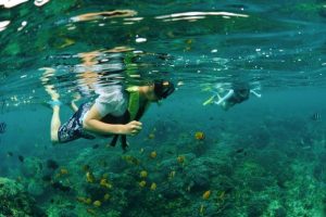 meanwhile, snorkeling activity is popular to thi in this island.