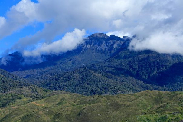meanwhile, jayawijaya mountain is seen at an angle.