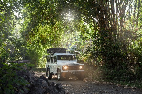 Bali Rainforest Adventure: Explore Bali’s Hidden Green Side by 4WD