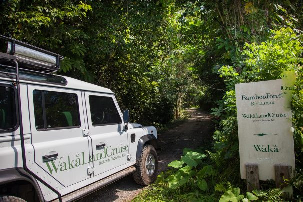 Bali Rainforest Adventure Itinerary: Full-Day Nature Tour by 4WD