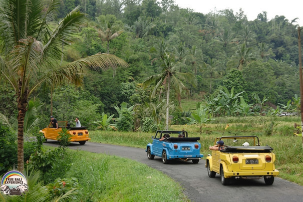 Volkswagen Safari driving through Bali countryside toward Kintamani