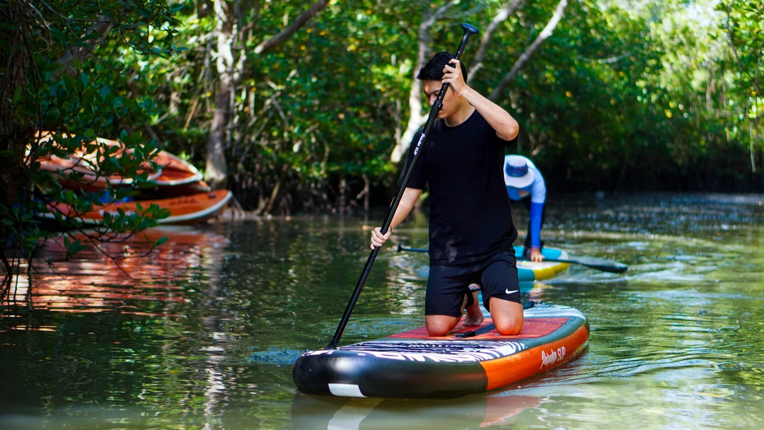 Beginner-friendly Bali stand up paddle activity in mangrove forest