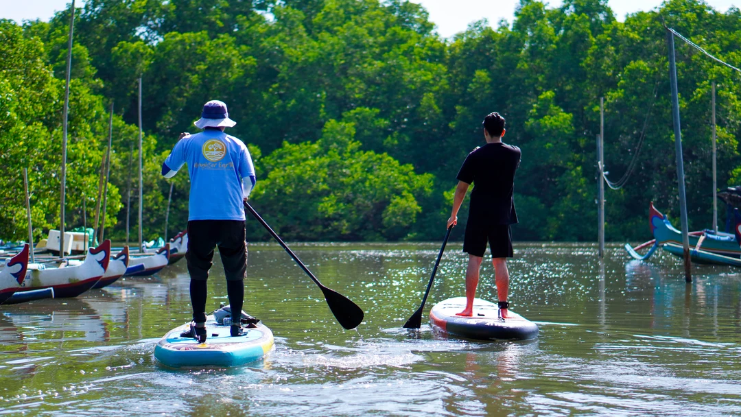 Bali Mangrove Tour by Stand Up Paddle in Jimbaran Bali