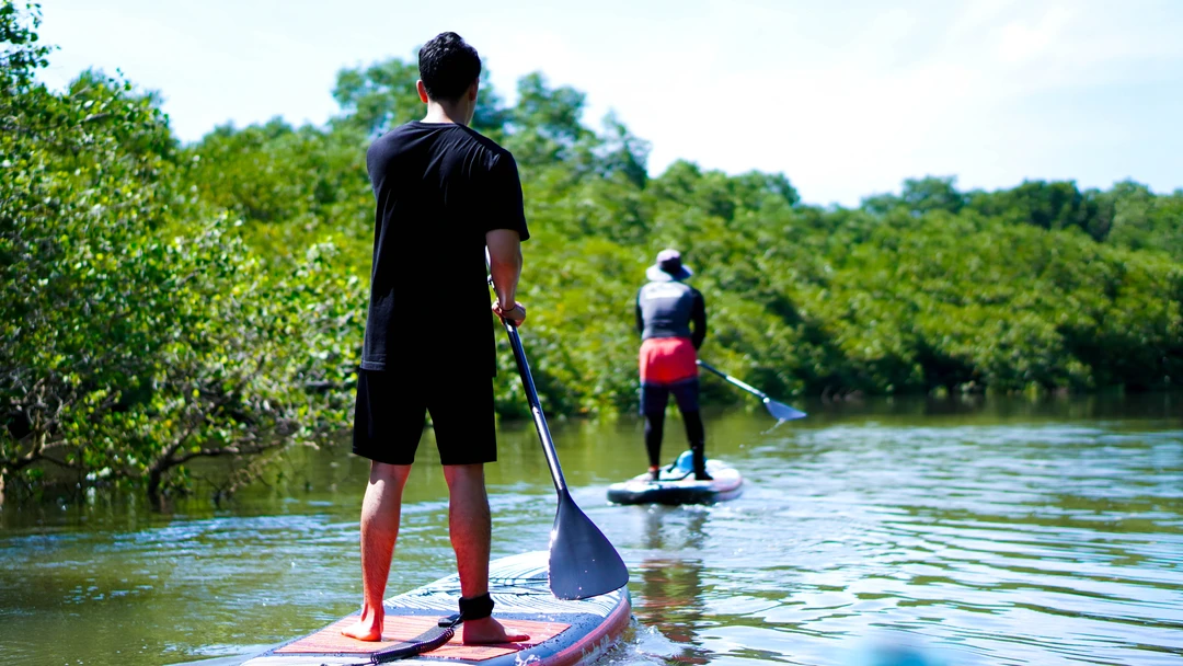 Peaceful Bali mangrove SUP tour away from busy tourist areas