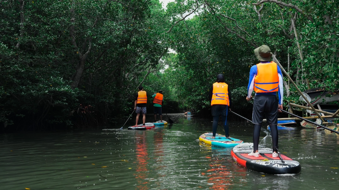 Mangrove forest waterway in Bali for eco adventure SUP tour
