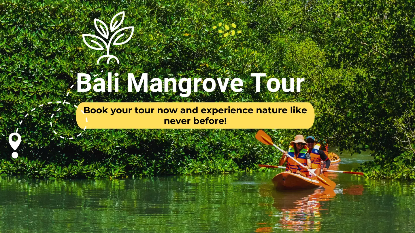 Mangrove Canoe.webp