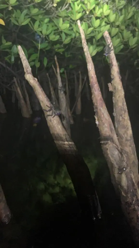 WhatsApp Image 2023-04-06 at 11.53.00 AM-min.jpeg