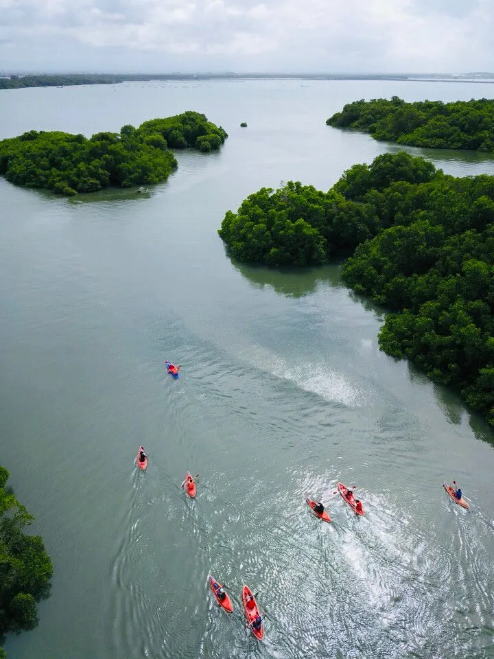 Aerial mangrove canoeing activity in Bali