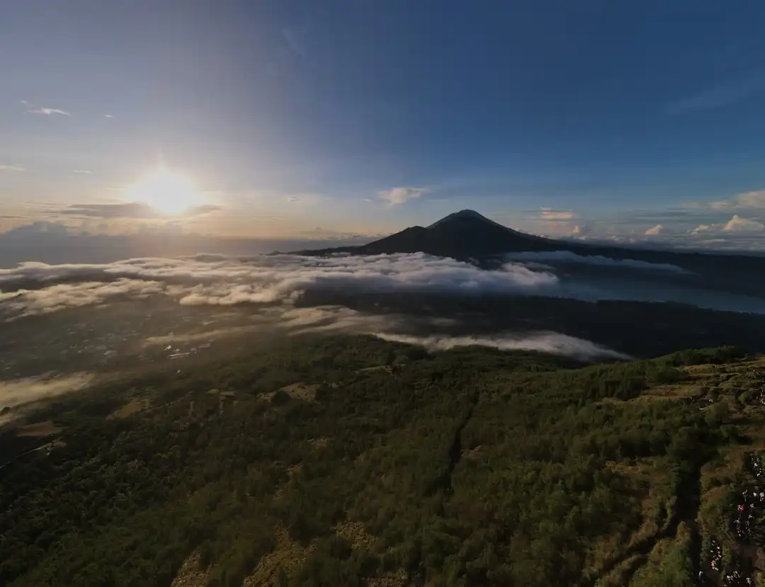 WhatsApp Image 2023-04-30 at 10.46.02.jpeg