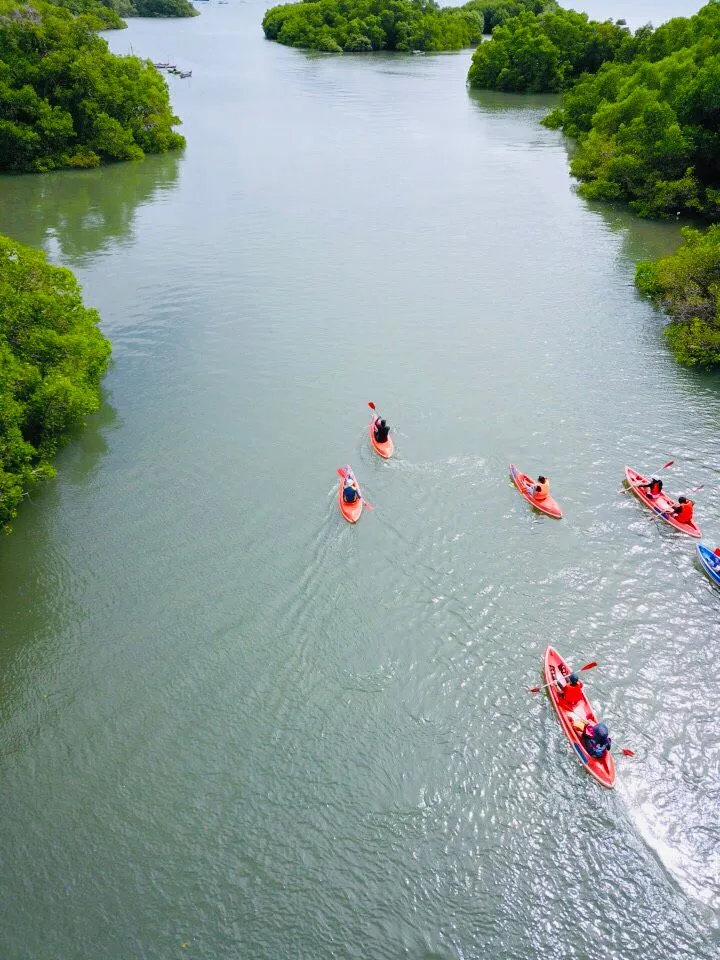 Water activity for summer with canoeing in Bali mangrove area