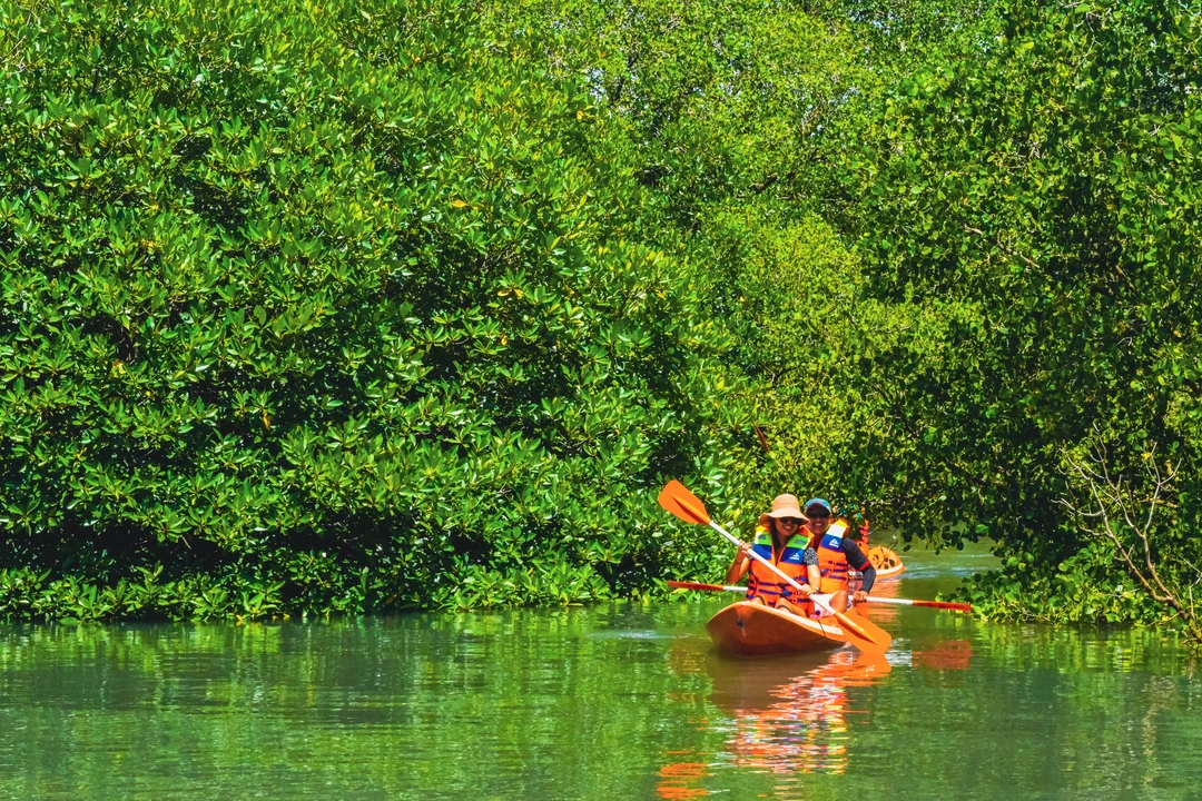 Three individuals in an orange kayak navigate a serene river bordered by dense green mangroves. They are wearing bright orange life vests and are paddling with orange oars. In the top right corner, there's a logo for 