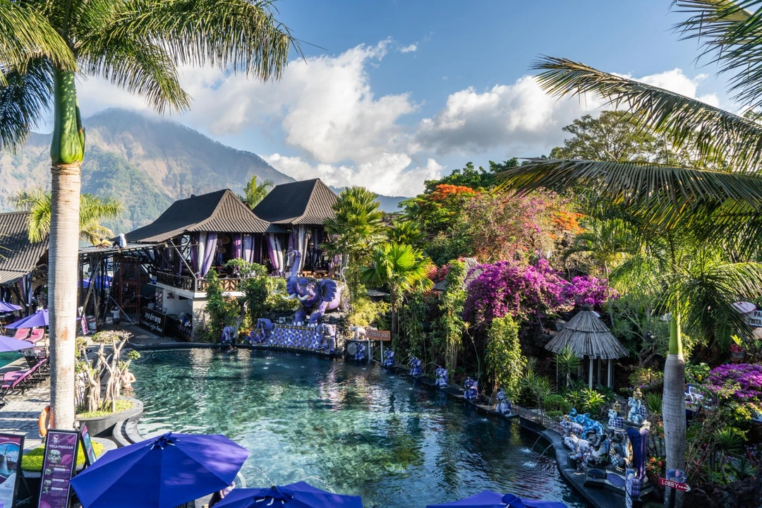 WhatsApp Image 2023-12-11 at 11.43.43 AM.jpeg