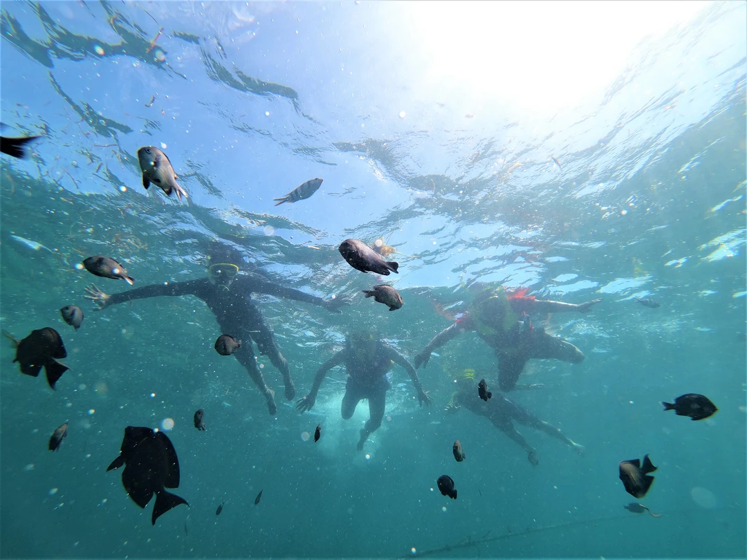Nusa Penida underwater tourism area for Bali summer water activity guide 2026