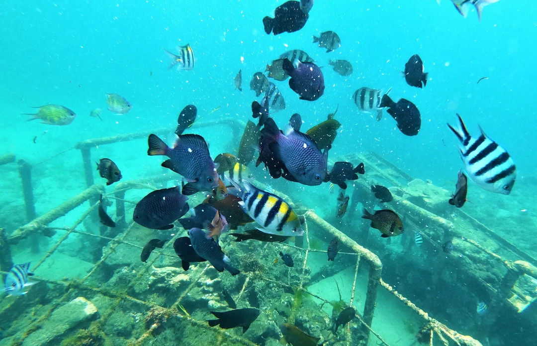Nusa Penida underwater tourism area for Bali snorkeling summer 2026