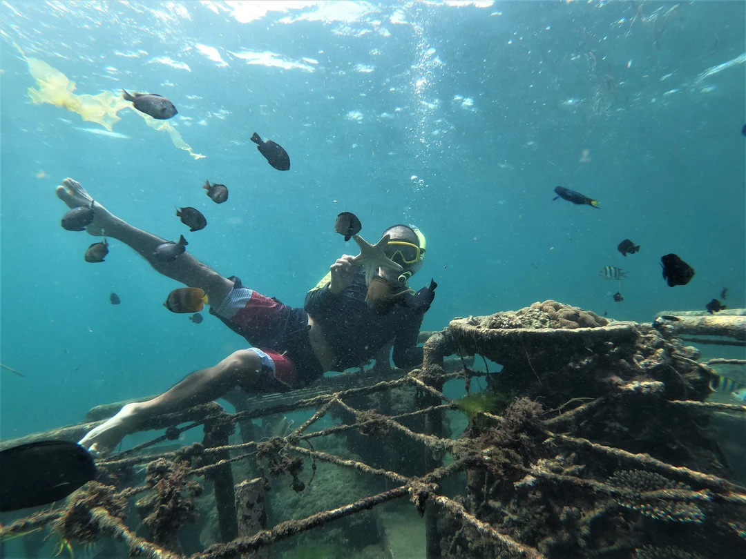 A diver explores the underwater world near Nusa Penida, Bali. They are swimming above a coral-covered shipwreck surrounded by tropical fish, with beams of sunlight filtering through the clear blue water from the surface above