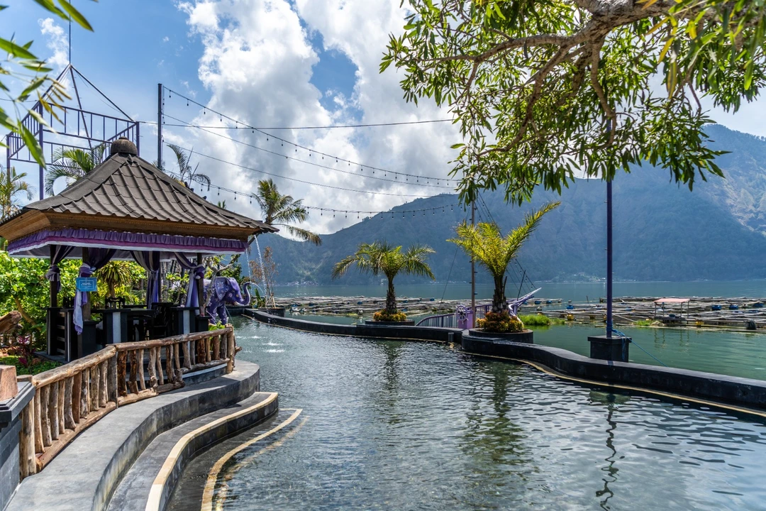 WhatsApp Image 2023-12-11 at 11.43.54 AM (3).jpeg