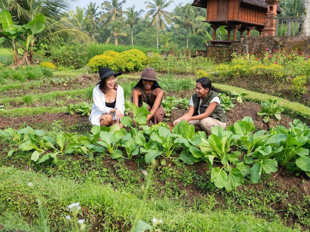 Begawan Biji Farm-to-Table Experience with Ubud Tour by Electric Vehicle