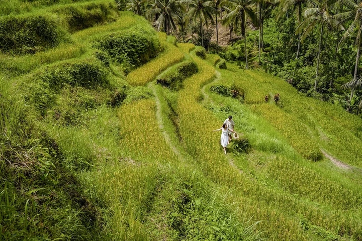 Tegalalang - Copy.jpg