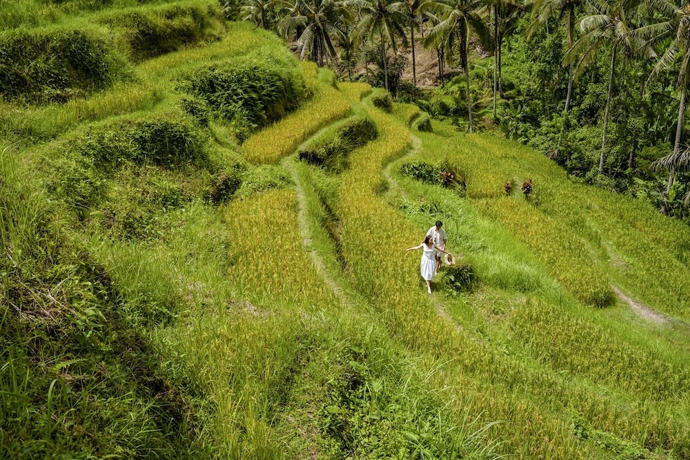 Tegalalang - Copy.jpg