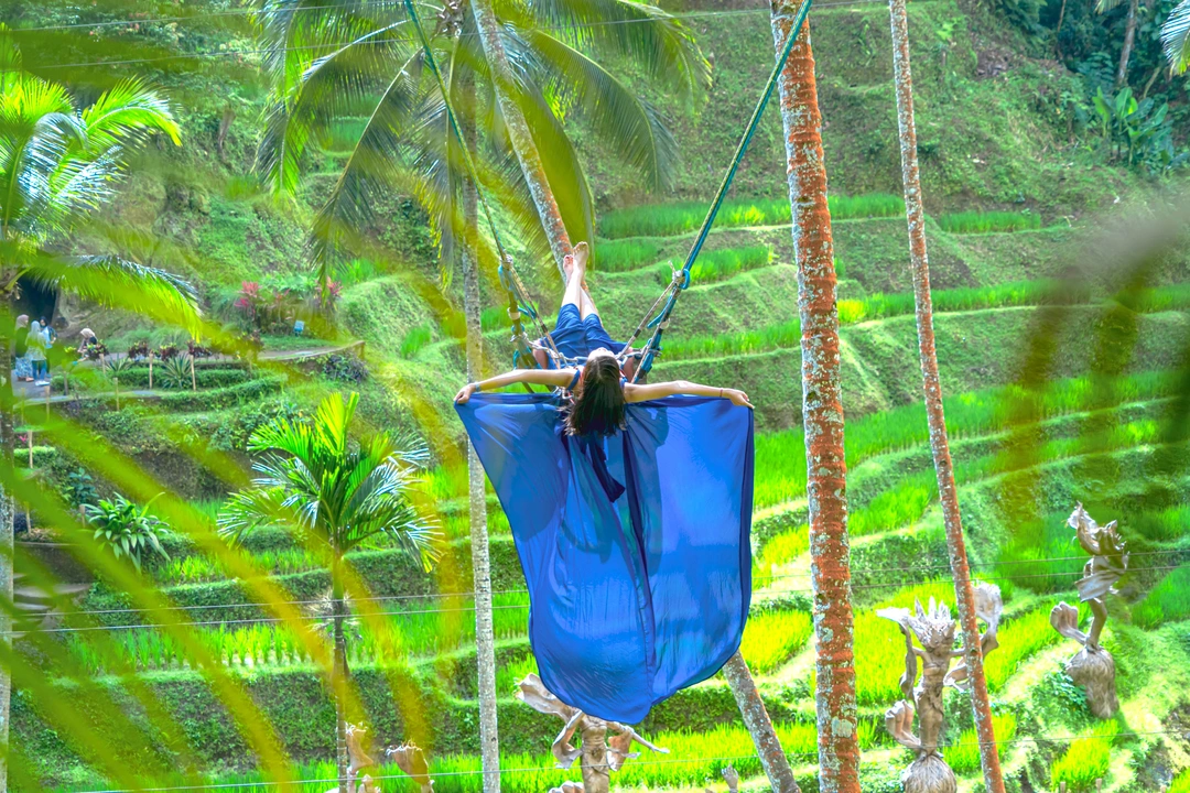 Bali swing and coffee plantation day with jungle scenery in Ubud