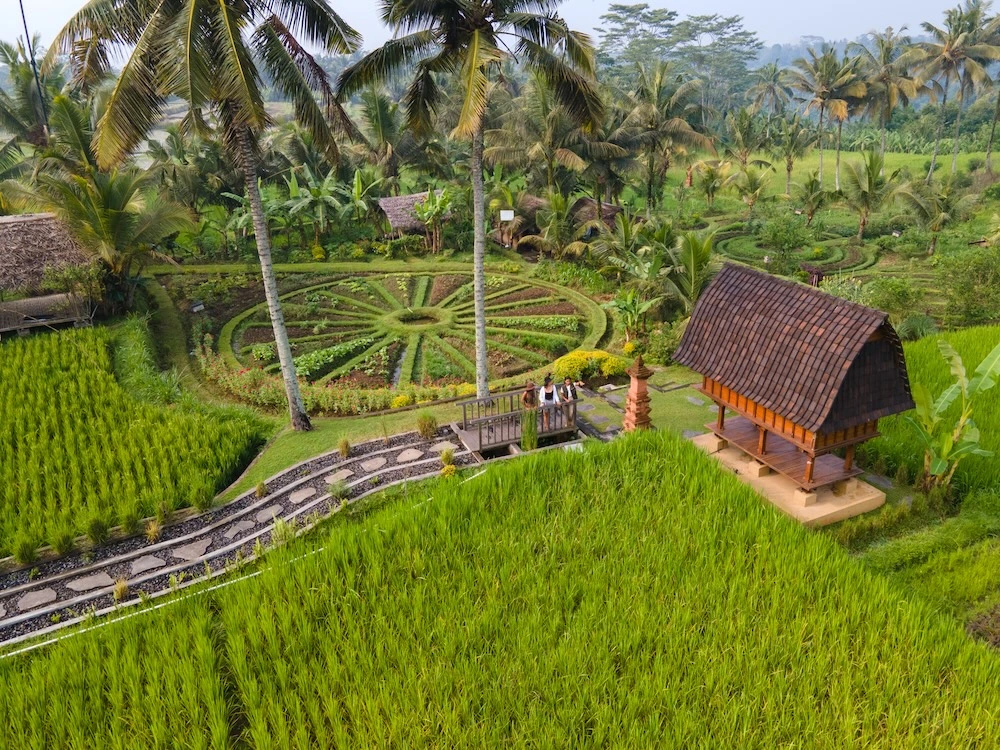 Bali farm and rice field scenery for Bali Tour 2026