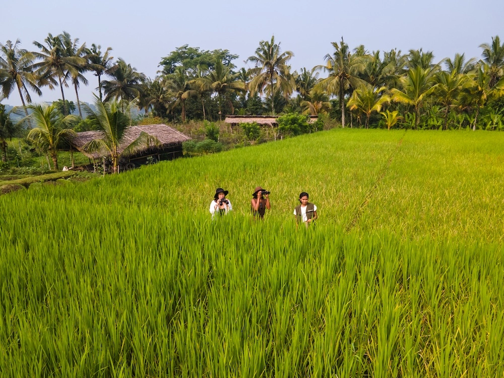 Rice field landscape during Ubud electric vehicle tour