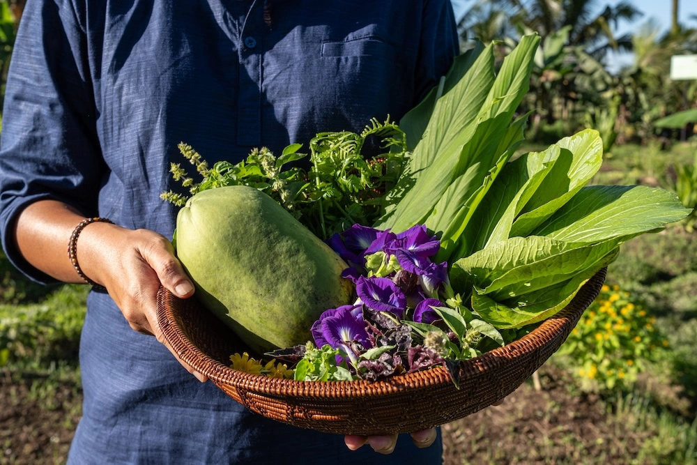 Farm activity during Ubud tour with electric vehicle