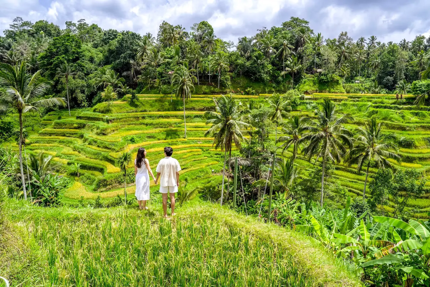 Tegallalang,-Bali,-Indonesia.avif