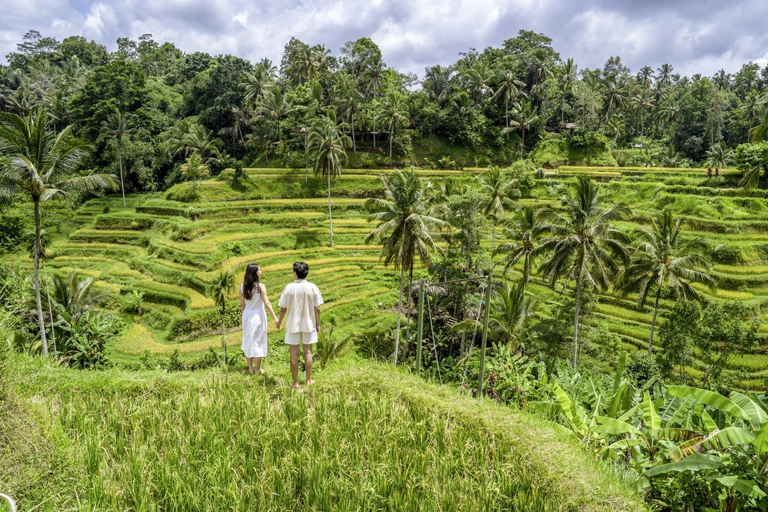 Tegalalang rice terrace tour in Bali from airport transfer