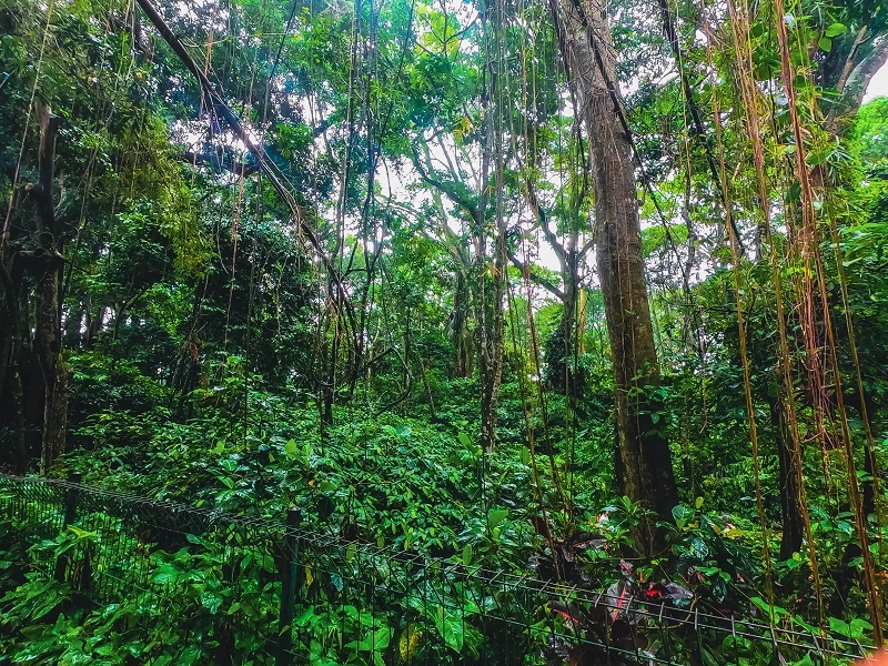 GOPR0638.webp