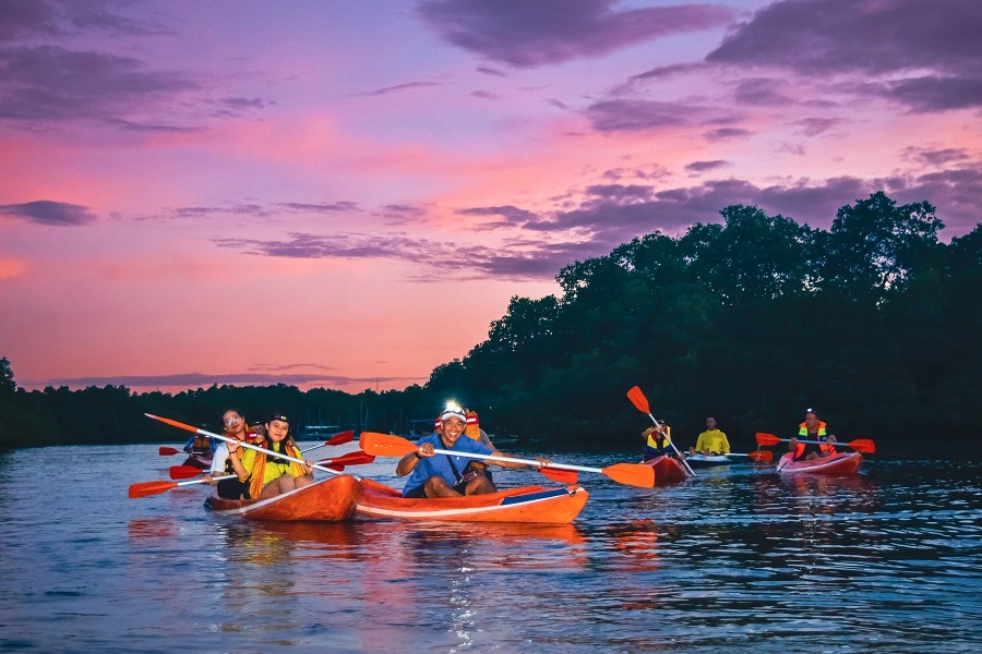 https://kura2bus.com/tours/evening-mangrove-canoe-tour