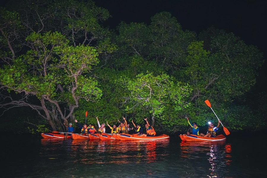 https://kura2bus.com/tours/evening-mangrove-canoe-tour