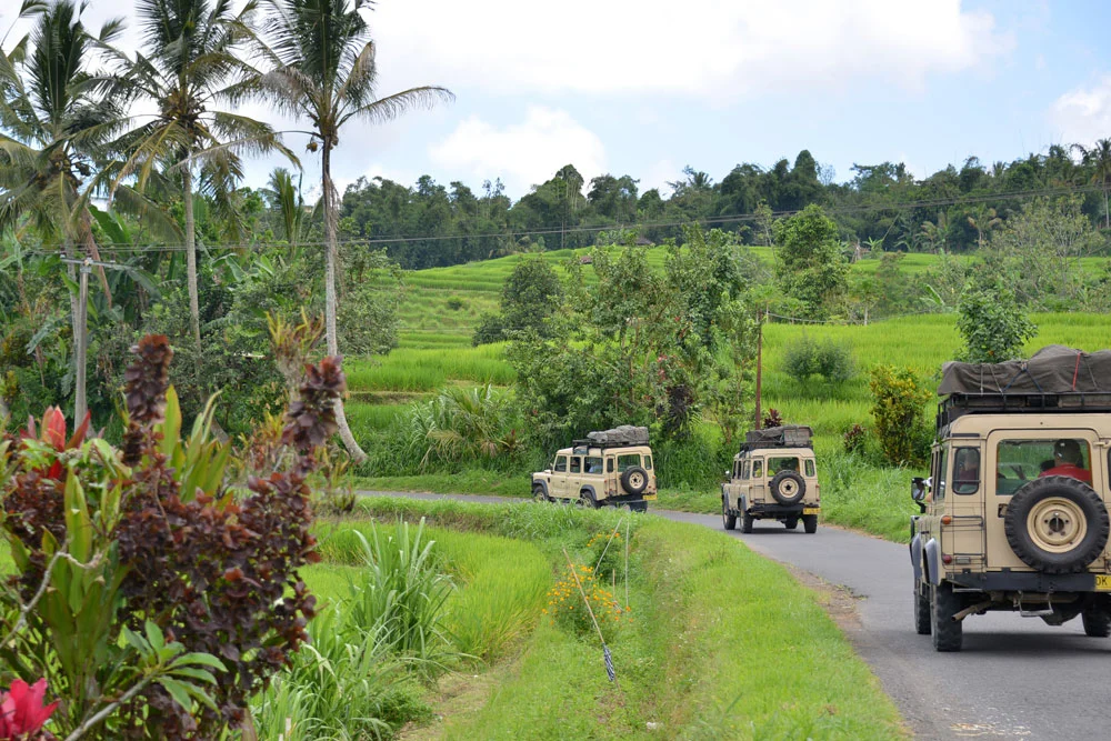 E - Land-Rovers-copy.jpg