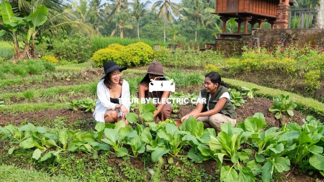 Bali sustainable farm tour with electric vehicle experience